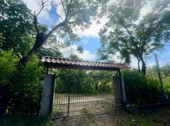 FOR SALE ! Nature Retreat with Pool and Guest Suite 