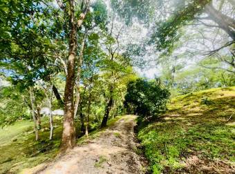 FOR SALE ! Nature Retreat with Pool and Guest Suite 