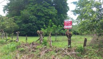 VENTA DE LOTE MIXTO SEGREGABLE, PUNTARENAS, OSA, BAHÍA BALLENA - 9496379 