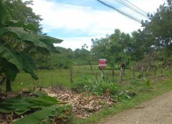 VENTA DE LOTE MIXTO SEGREGABLE, PUNTARENAS, OSA, BAHÍA BALLENA - 9496379 