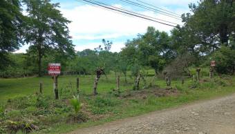 VENTA DE LOTE MIXTO SEGREGABLE, PUNTARENAS, OSA, BAHÍA BALLENA - 9496379 