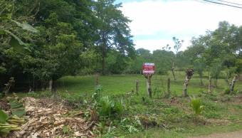 VENTA DE LOTE MIXTO SEGREGABLE, PUNTARENAS, OSA, BAHÍA BALLENA - 9496379 