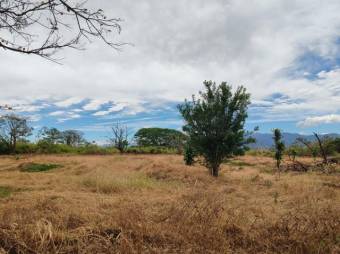 MLS-25-1444 LS VENTA FINCA DESAMPARADOS ALAJUELA