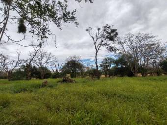 MLS-25-1444 LS VENTA FINCA DESAMPARADOS ALAJUELA