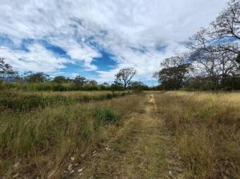 MLS-25-1444 LS VENTA FINCA DESAMPARADOS ALAJUELA