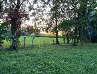 VENTA DE FINCA CON CASA, HEREDIA, SARAPIQUÍ, LA VIRGEN - 9498020