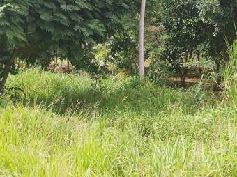 MLS-25-1043 VENTA LOTE LA TIGRA SAN CARLOS MLS-25-1043 VENTA LOTE LA TIGRA SAN CARLOS