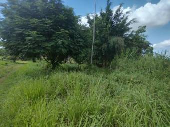 MLS-25-1043 VENTA LOTE LA TIGRA SAN CARLOS MLS-25-1043 VENTA LOTE LA TIGRA SAN CARLOS