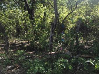 MLS-23-2562 VENTA LOTE LIBERIA GUANACASTE MLS-23-2562 VENTA LOTE LIBERIA GUANACASTE