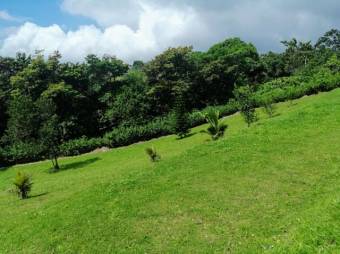 MLS-24-1503 VENTA LOTE TILARAN GUANACASTE MLS-24-1503 VENTA LOTE TILARAN GUANACASTE
