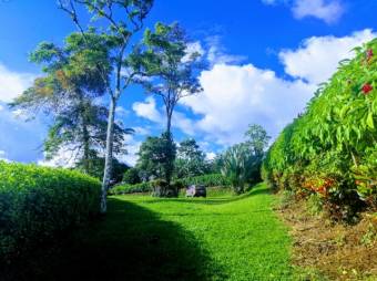 MLS-24-1503 VENTA LOTE TILARAN GUANACASTE MLS-24-1503 VENTA LOTE TILARAN GUANACASTE