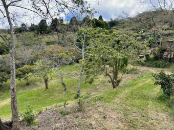 Se vende amplio terreno de 1.6 hectáreas en San Antonio Escazú 23-1737