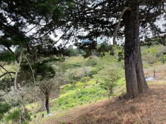 Se vende amplio terreno de 1.6 hectáreas en San Antonio Escazú 23-1737