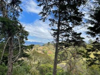 Se vende amplio terreno de 1.6 hectáreas en San Antonio Escazú 23-1737