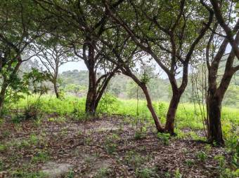 MLS- 25-216 LS VENTA LOTE LIBERIA GUANACASTE