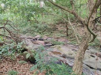 MLS- 25-216 LS VENTA LOTE LIBERIA GUANACASTE