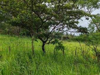MLS- 25-216 LS VENTA LOTE LIBERIA GUANACASTE