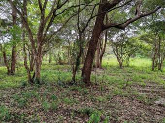 MLS- 25-216 LS VENTA LOTE LIBERIA GUANACASTE