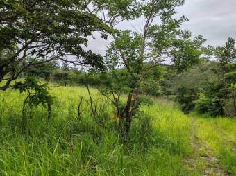MLS- 25-216 LS VENTA LOTE LIBERIA GUANACASTE