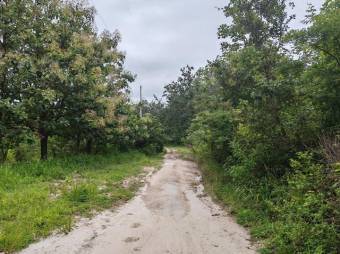 MLS- 25-216 LS VENTA LOTE LIBERIA GUANACASTE