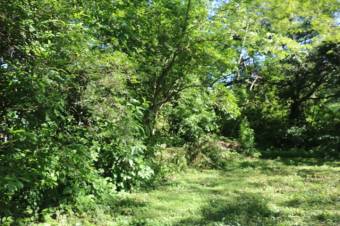 Se vende amplio lote de 5,640m2 en Brasil Santa Ana 24-395