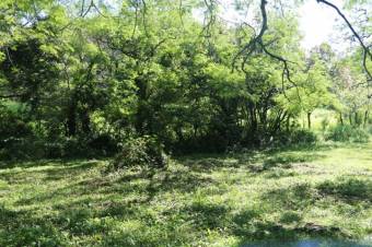 Se vende amplio lote de 5,640m2 en Brasil Santa Ana 24-395