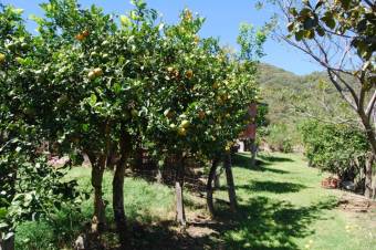 Se vende amplia finca de 2.1 hectáreas en Montañas de Santa Ana 23-3341