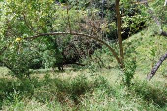 Se vende amplia finca de 2.1 hectáreas en Montañas de Santa Ana 23-3341