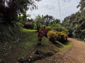 MLS-22-804 VENTA LOTE OSA PUNTARENAS MLS-22-804 VENTA LOTE OSA PUNTARENAS