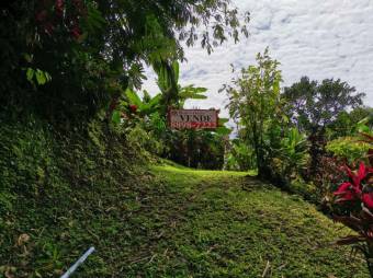 MLS-22-804 VENTA LOTE OSA PUNTARENAS