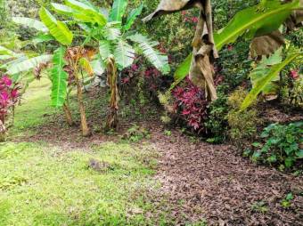 MLS-22-804 VENTA LOTE OSA PUNTARENAS MLS-22-804 VENTA LOTE OSA PUNTARENAS