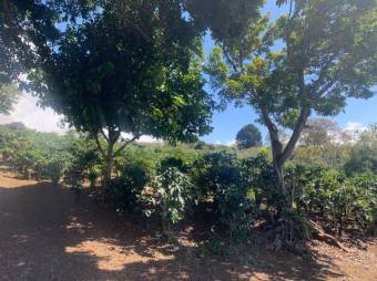 se vende amplia finca de 18 hectáreas en Concepción de Heredia 25-1394 se vende amplia finca de 18 hectáreas en Concepción de Heredia 25-1394