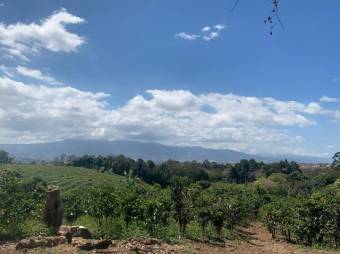 se vende amplia finca de 18 hectáreas en Concepción de Heredia 25-1394 se vende amplia finca de 18 hectáreas en Concepción de Heredia 25-1394