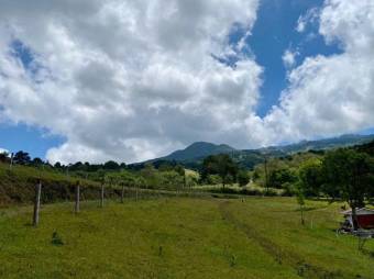 Se vende amplia finca de 14.9 hectáreas en Santa bárbara Heredia 25-1839