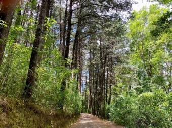 Se vende amplia finca de 14.9 hectáreas en Santa bárbara Heredia 25-1839