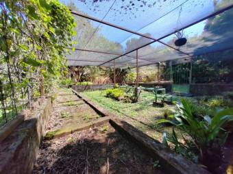 Se vende amplia finca de 3.6 hectáreas en Ángeles Heredia 24-1448