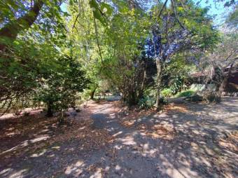 Se vende amplia finca de 3.6 hectáreas en Ángeles Heredia 24-1448
