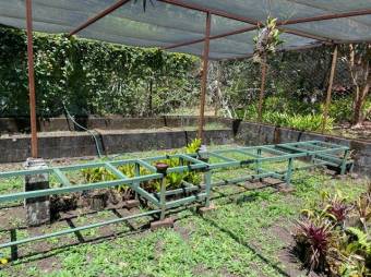 Se vende amplia finca de 3.6 hectáreas en Ángeles Heredia 24-1448