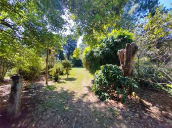 Se vende amplia finca de 3.6 hectáreas en Ángeles Heredia 24-1448