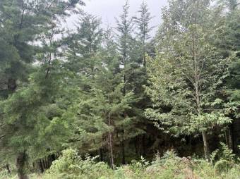 Se vende lote de 2,863m2 en Santo Domingo de Heredia 26-541