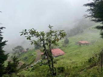 Se vende lote de 2,863m2 en Santo Domingo de Heredia 26-541