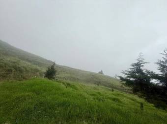 Se vende lote de 2,863m2 en Santo Domingo de Heredia 26-541