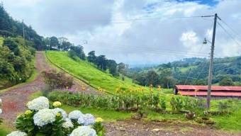 Se vende lote de 2,863m2 en Santo Domingo de Heredia 26-541