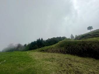 Se vende lote de 2,863m2 en Santo Domingo de Heredia 26-541