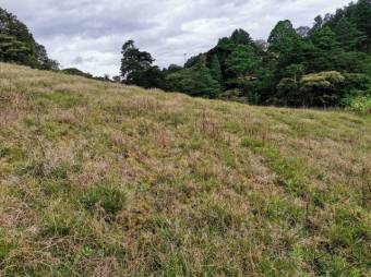 Se vende lote de 296m2 en Santo Domingo de Heredia 23-703 Se vende lote de 296m2 en Santo Domingo de Heredia 23-703