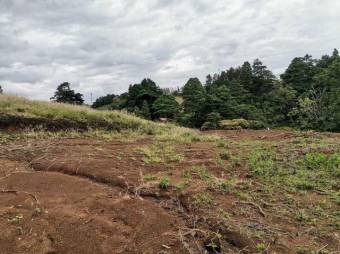 Se vende lote de 296m2 en Santo Domingo de Heredia 23-703 Se vende lote de 296m2 en Santo Domingo de Heredia 23-703
