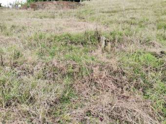 Se vende lote de 296m2 en Santo Domingo de Heredia 23-703 Se vende lote de 296m2 en Santo Domingo de Heredia 23-703