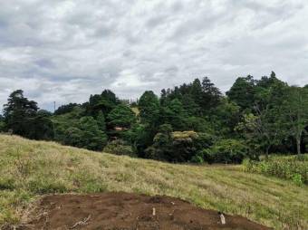 Se vende lote de 296m2 en Santo Domingo de Heredia 23-703 Se vende lote de 296m2 en Santo Domingo de Heredia 23-703