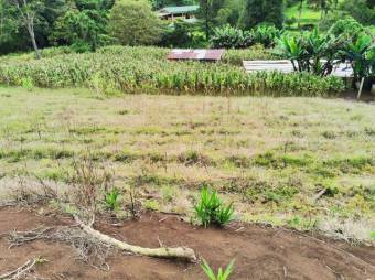 Se vende lote de 296m2 en Santo Domingo de Heredia 23-703 Se vende lote de 296m2 en Santo Domingo de Heredia 23-703