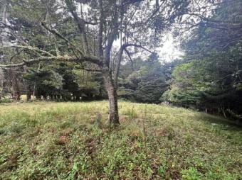 Se vende lote de 4,000m2 en San Jose de la Montaña 25-1371